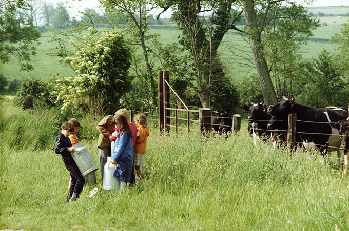 La petite bande-22_dvd